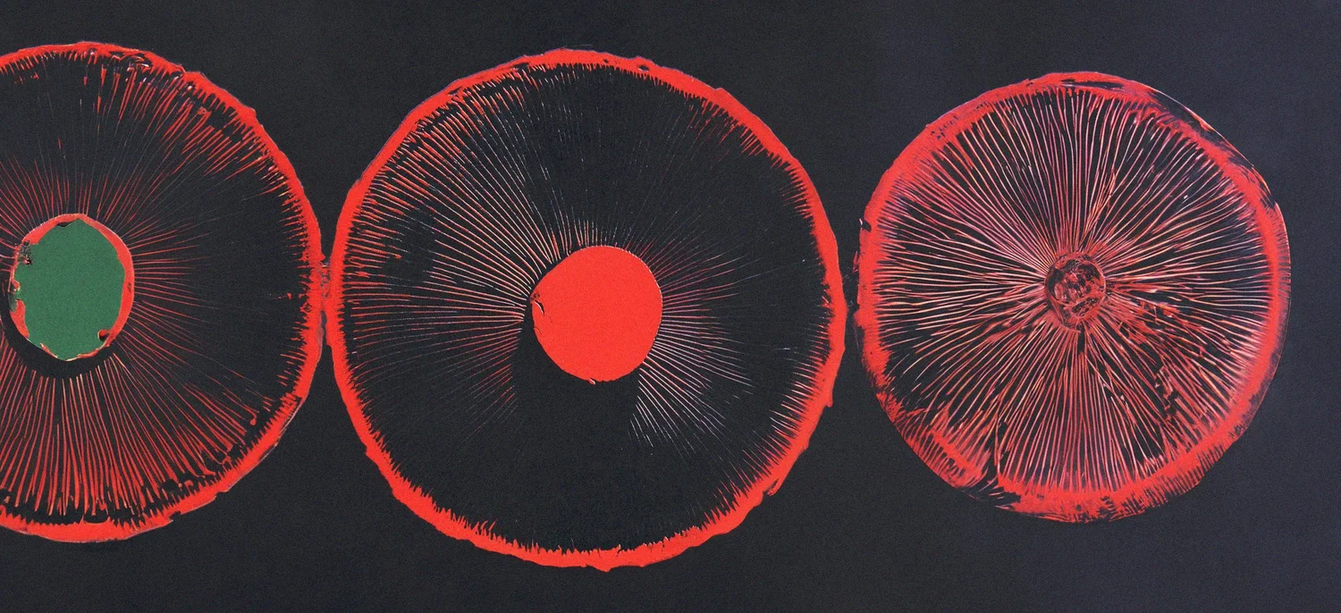 Three mushroom spore prints in red on a dark ground.